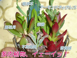 3a13f001.jpg