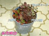 4a811470.jpg