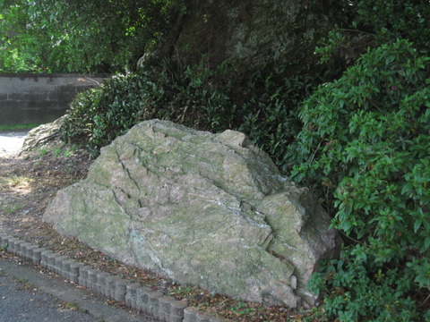 画像 020