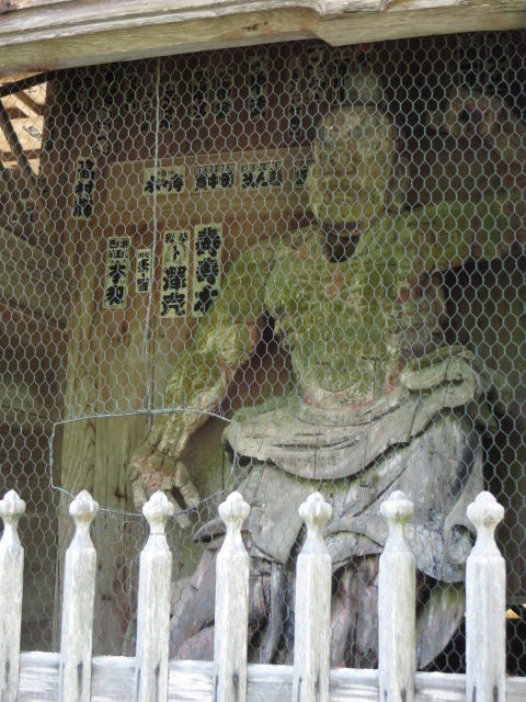 IMG_1914
