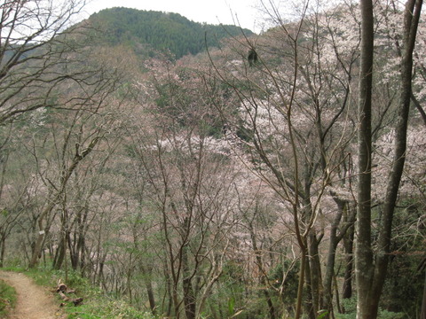 画像 014