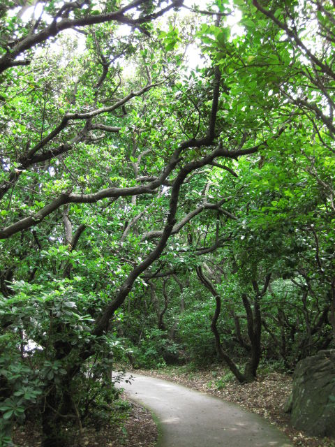 画像 126