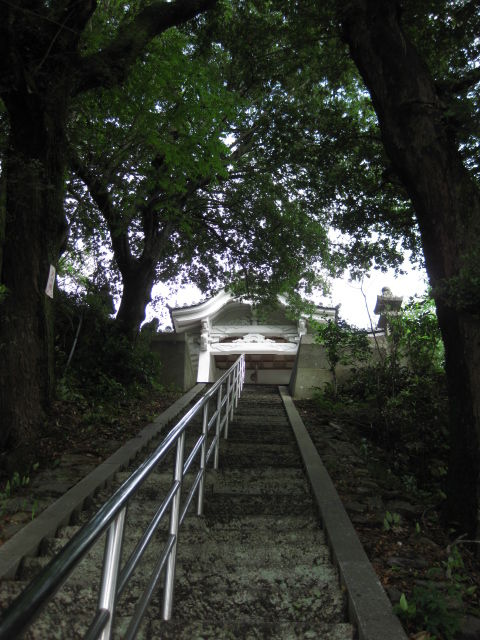 画像 003