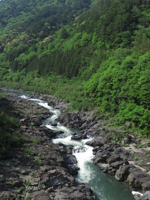 IMG_2011