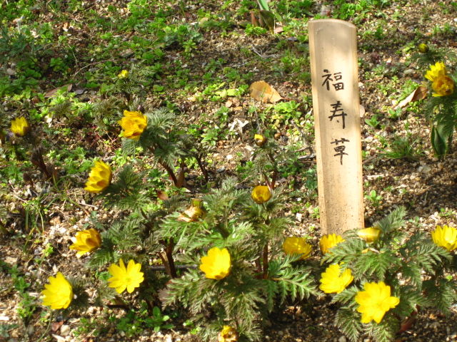 ι�μ̿� 099
