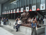 HSBC�饤����