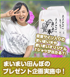 side_maimai_shukaku_pre