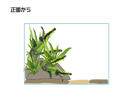 5ー