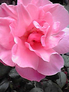 2010050517360000