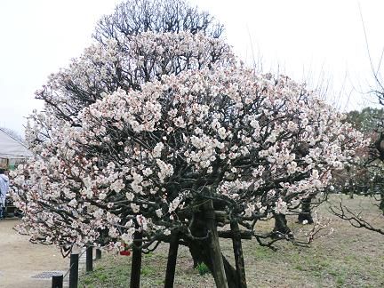 CIMG0026