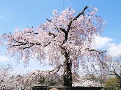 CIMG0383