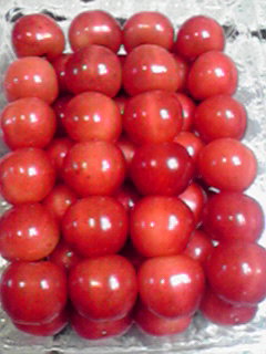 2010061022370000
