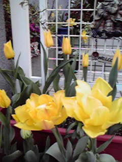 2010041417190001