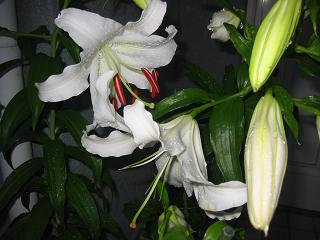 4f705935.jpg