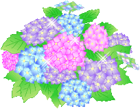 ajisai-l-4