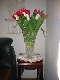 93f5327a.jpg