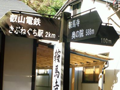 96e55249.jpg