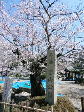 CIMG0381