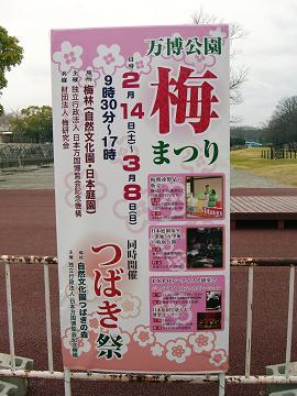 a17b46d8.jpg