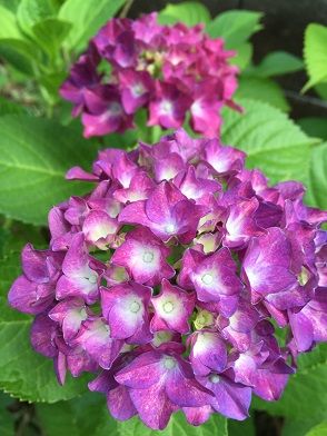 IMG_3865