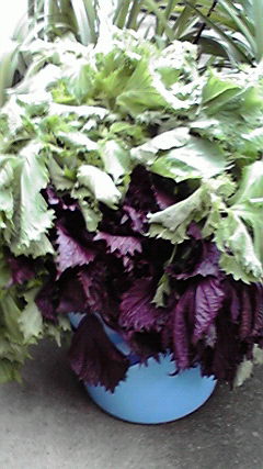 2010062716560000