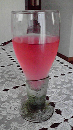 2010063007060000
