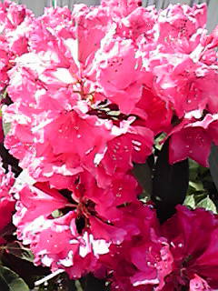 2010052208370000