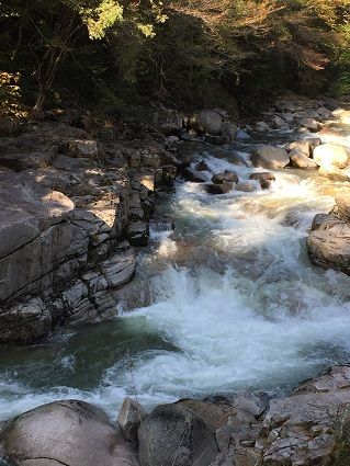 IMG_6347