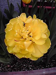 2010041813150000