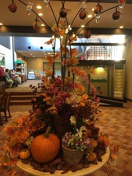 IMG_4446