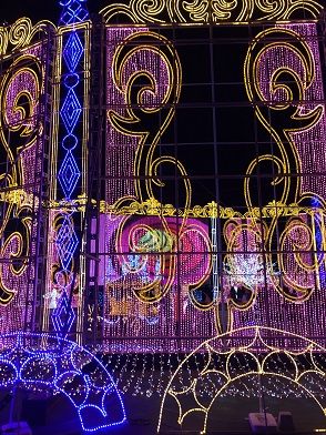 IMG_2899