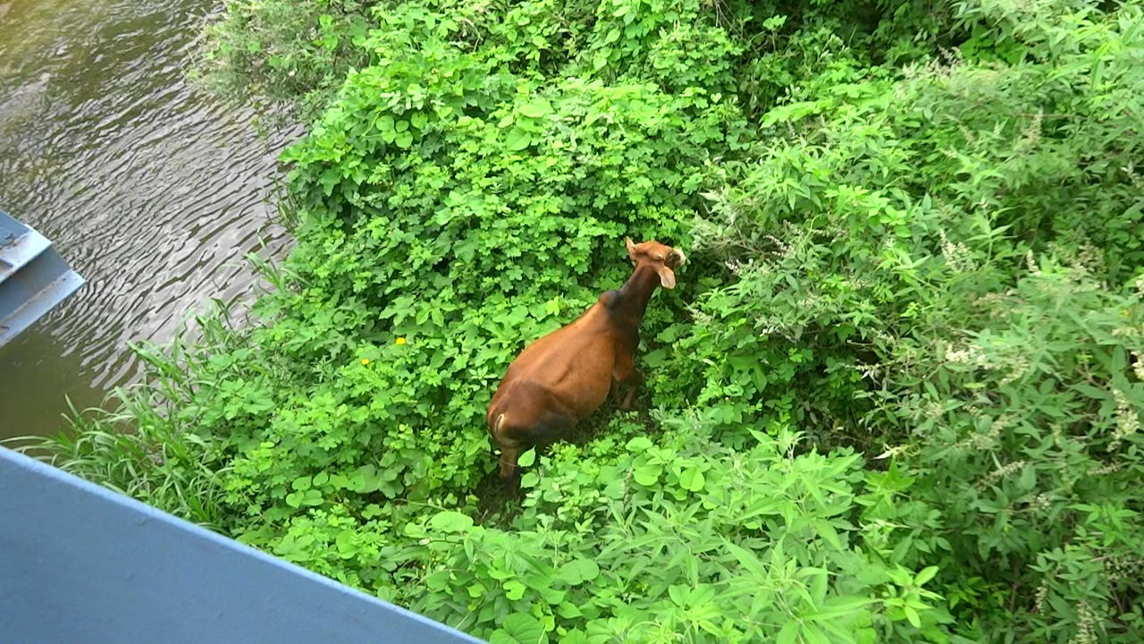 2018090534