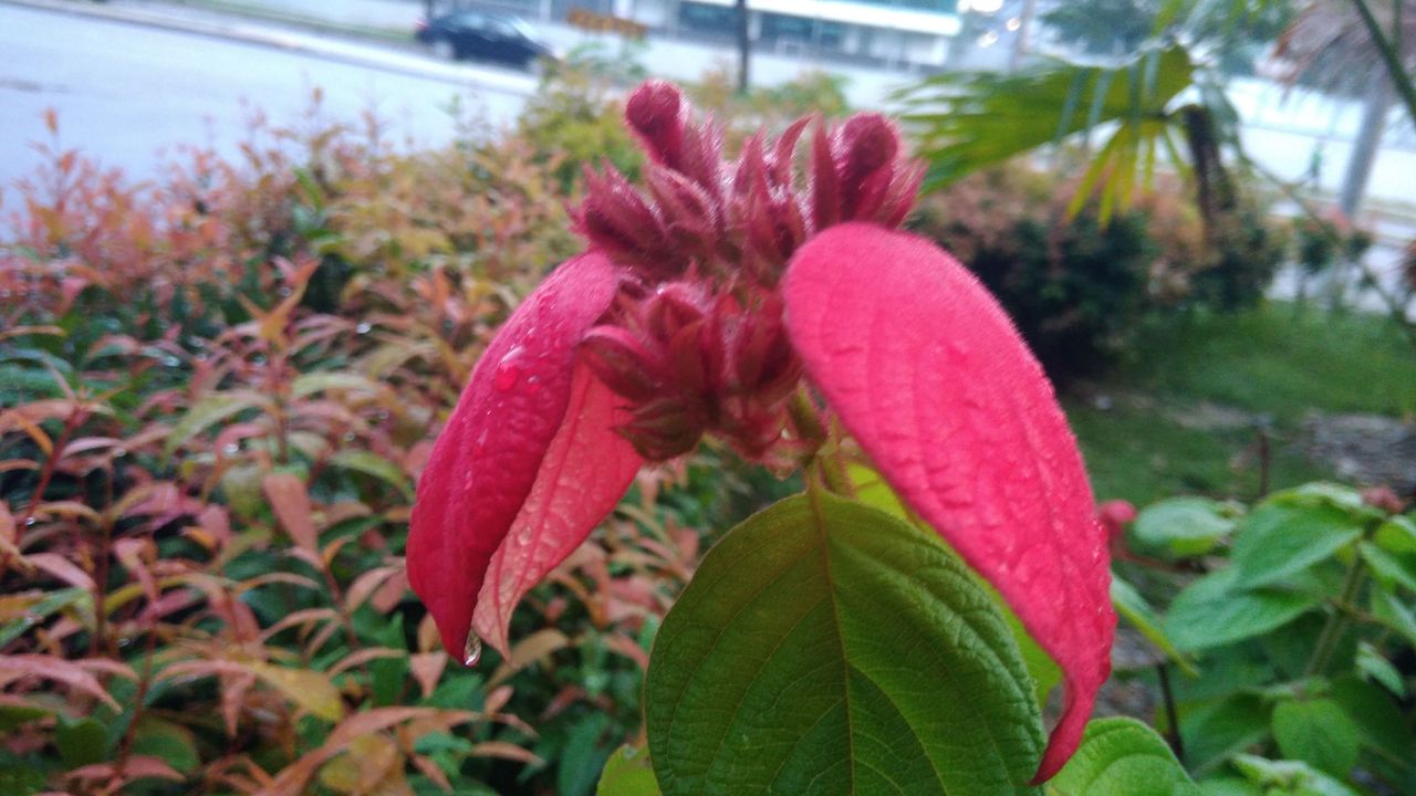 20180528a
