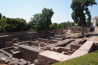 DSC03521