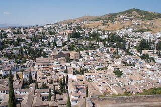 DSC03556