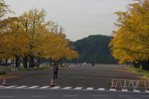 秋2012-3