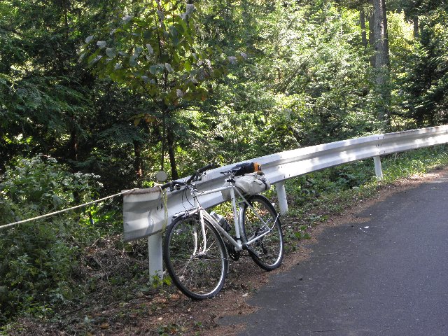 dc040d22.jpg