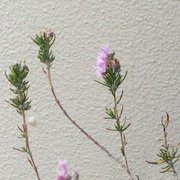 写真3