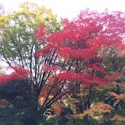 写真2