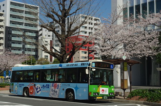 お花見05-2012