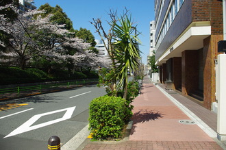 お花見06-2012