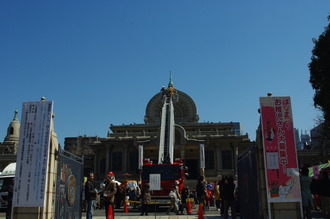 お花見07-2012