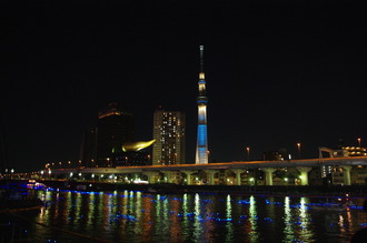 ホタル01