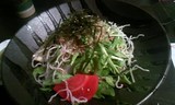 echigo2
