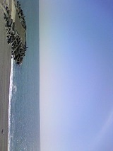 e15783f9.jpg
