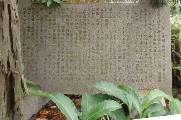 R-P9202703