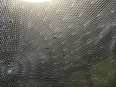 P1050490 (2)