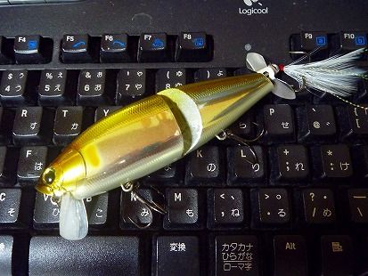 s-P1020121.jpg