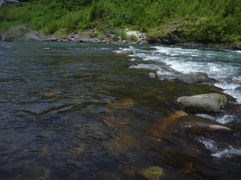 P1030825