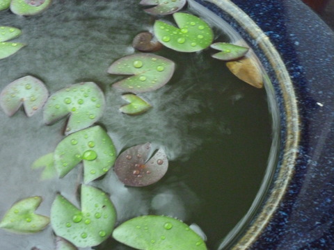 P1050435